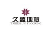 益阳朝阳久盛梯业有限公司